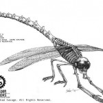 Dragonfly 2