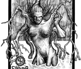 swamp